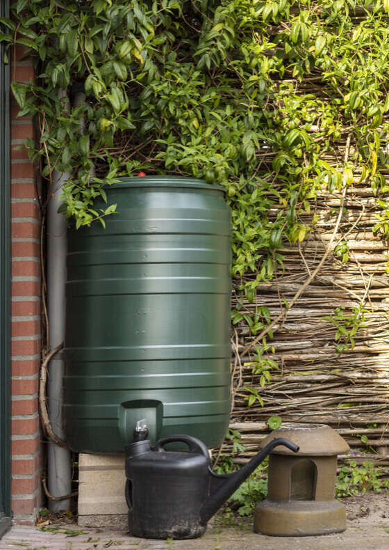 garten regentonne banner c